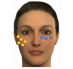 4.png