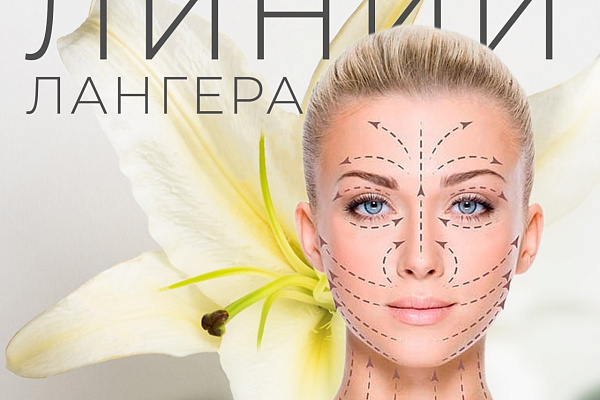 Фото Линии Лангера В косметологии | FillerOnline.ru