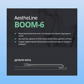 AstheLine Boom 6 фото: купить в Москве в интернет-магазине Filleronline.ru