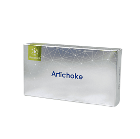Artichoke фото: купить в Москве в интернет-магазине ФИЛЕР|ОНЛАЙН