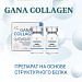 Фото: Gana Collagen какие бывают на рынке Новинки - Описание Сертифицированных Препаратов